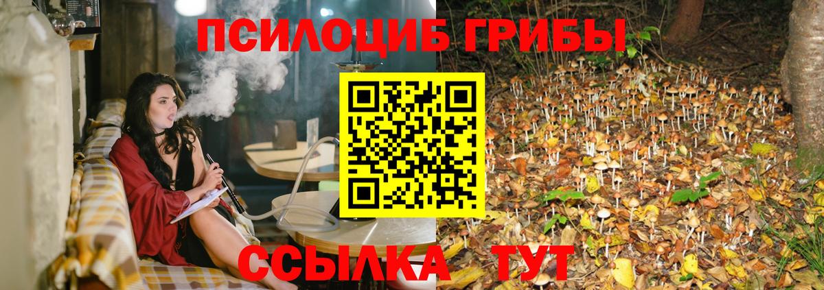 Тосно  Галлюциногенные грибы Psilocybine cubensis  Вход с VPN  Псилоцибиновые грибы GOLDEN TEACHER 