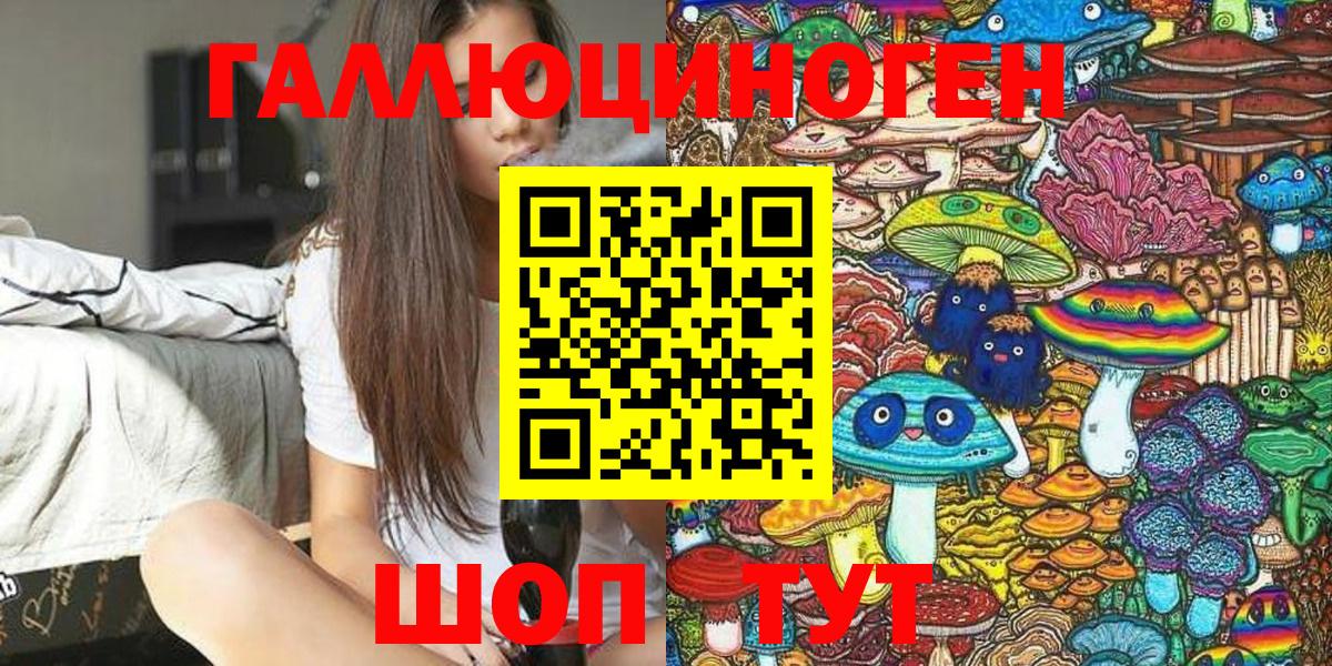 Галлюциногенные грибы Psilocybine cubensis Тосно