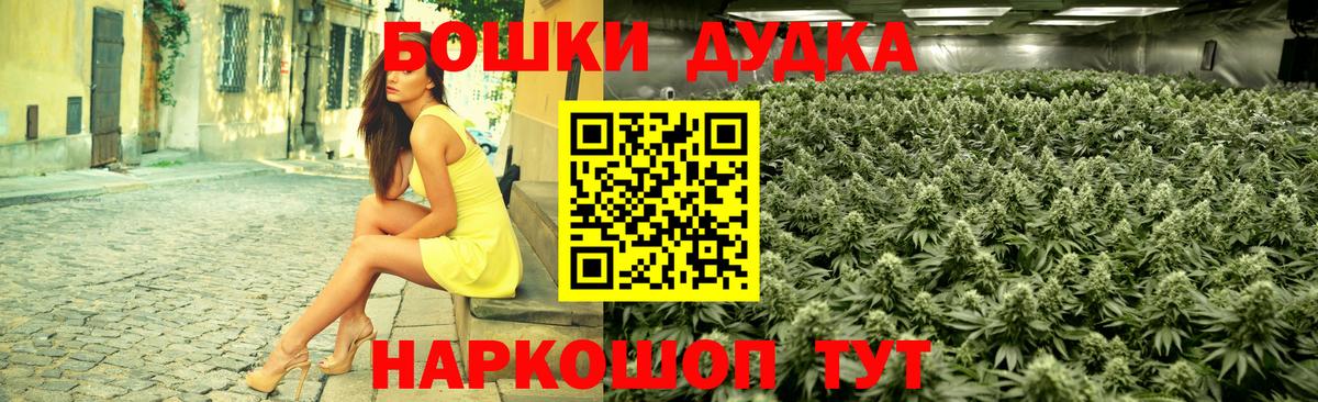 Конопля планчик Тосно