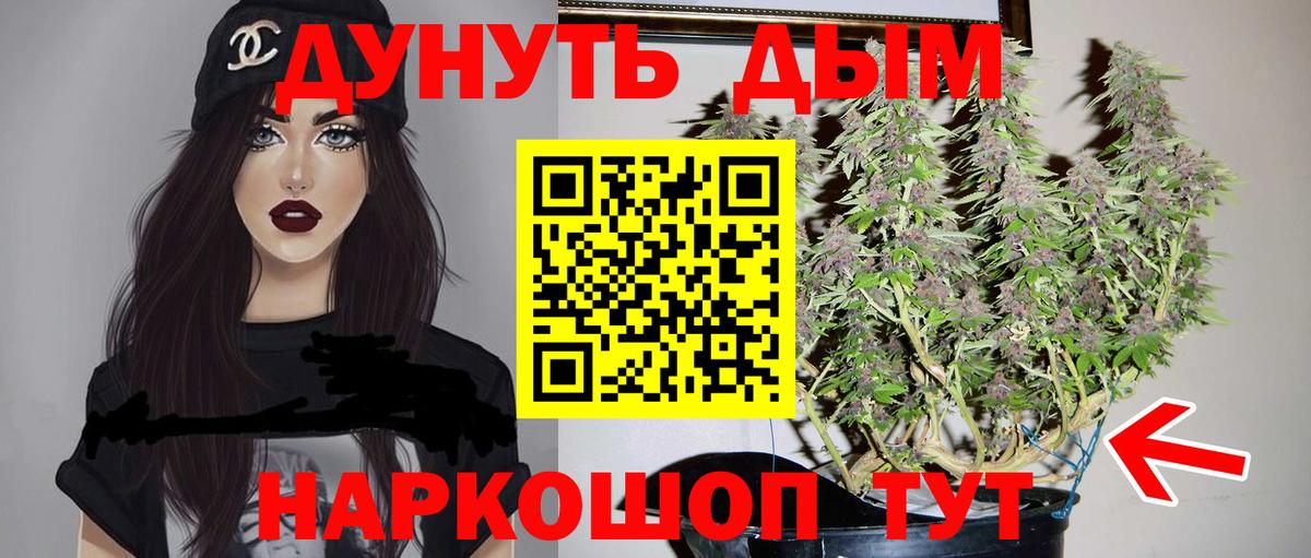 Тосно  Бошки Шишки семена  Вход с VPN  МАРИХУАНА ГИДРОПОН  Каннабис конопля 